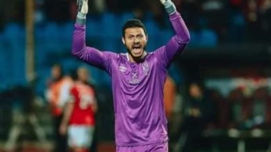 نائب رئيس الهلال السوداني يعتذر للشناوي ويبرر انفعالاته