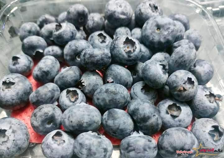 فوائد التوت الأزرق المتعددة