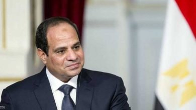 السيسي يرسم خارطة الأمن الغذائي لمصر من أجل تحقيق حياة كريمة