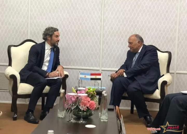 شكري يلتقي مع وزير خارجية الأرجنتين على هامش اجتماعات وزراء خارجية مجموعة العشرين