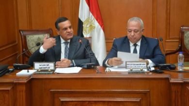 آمنة : نفذنا مشروعات في عهد فخامة الرئيس السيسى بإستثمارات 325 مليار جنيه في جميع محافظات الجمهورية
