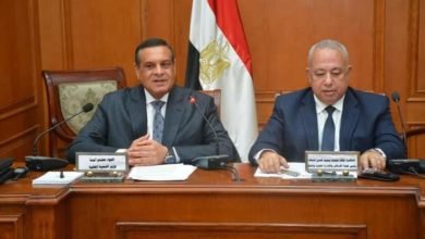 آمنة: لدينا 25 ألف منفذ و مجمعات ثابتة ومنافذ متحركة وشوادر لتوفير السلع الغذائية بأسعار مخفضة