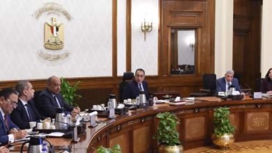 رئيس الوزراء يتابع الموقف التنفيذي لخطط تطوير شركات إنتاج الأدوية التابعة لوزارة قطاع الأعمال العام