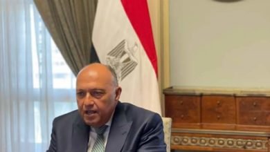 شكري يُشارك في الاجتماع الوزاري الافتراضي لمنتدى الاقتصادات الكبرى 