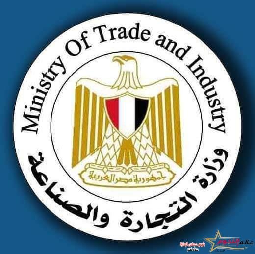 الدورة الرابعة عشرة للجنة المصرية الروسية المشتركة للتعاون التجاري والاقتصادي والعلمي والفني