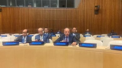 سويلم يشارك في جلسة "المياه .. السلام .. الأمن في أفريقيا" ضمن فعاليات "مؤتمر الأمم المتحدة للمياه"