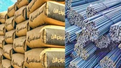 سعر طن الحديد والأسمنت الثلاثاء 21-3-2023