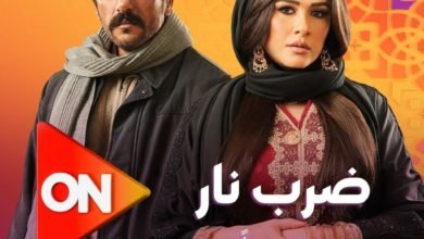 أحمد العوضي يترك الصعيد والسبب "ضرب نار"