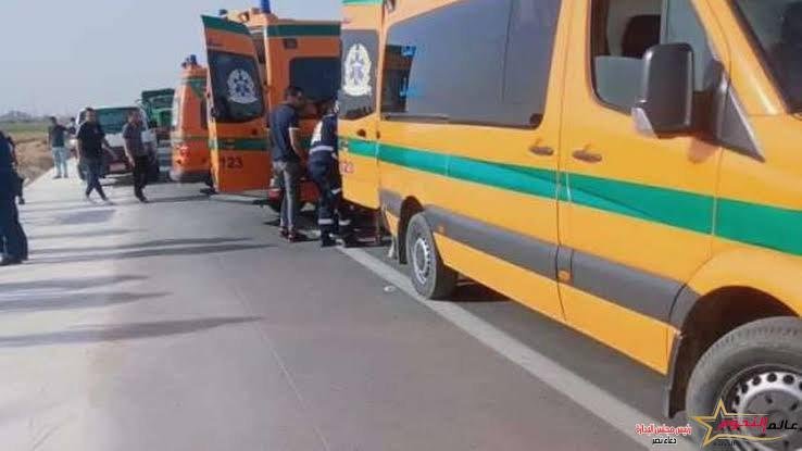 انقلاب ميكروباص على طريق الإسماعيلية بورسعيد وإصابة 13 شخصا 