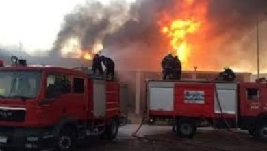 الحماية المدنية تسيطر علي حريق نشب فى مزرعة نخيل بالخارجة في محافظة الوادى الجديد