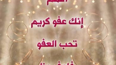 إلهي لجأت إليك.. بقلم: د. عبير منطاش 