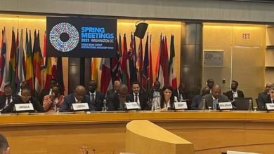 المشاط: ندعو البنك الدولي لزيادة التمويلات المتاحة لجهود التكيف مع التغيرات المناخية