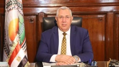 وزير الزراعة: أرتفاع في صادرات مصر الزراعية بنسبة 10% 