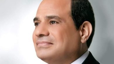 المجلس الأعلى للإعلام يهنئ الرئيس بذكرى تحرير سيناء