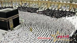 تفاصيل جديدة بشأن عمالة الحج والفئات المطلوبة للعمل خلال الموسم.. تصل لـ30 ألف جنيه