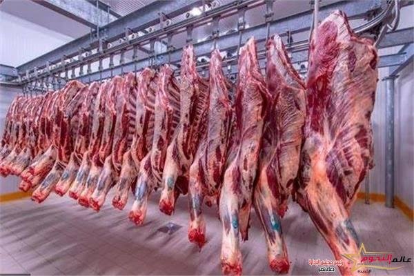 أسعار اللحوم فى الأسواق اليوم الأربعاء 12-4-2023