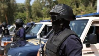 الداخلية: ضبط تشكيل عصابي تخصص في الاتجار بالأسلحة النارية والذخائر دون ترخيص بقنا