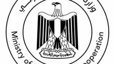 وزارة التعاون الدولي تُصدر تقريرًا حول تطور علاقات التعاون الإنمائي بين مصر واليابان