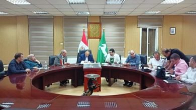 محافظ الشرقية يعتمد تعريفه الركوب الجديدة ويشدد على استمرار تكثيف الحملات علي مواقف السيارات ومحطات الوقود 