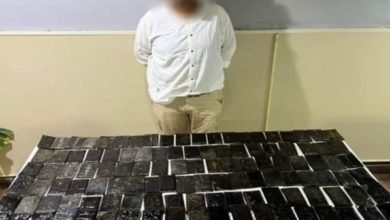 عاجل .. ضبط أحد الأشخاص بحوزته كمية من مخدر الحشيش بالجيزة