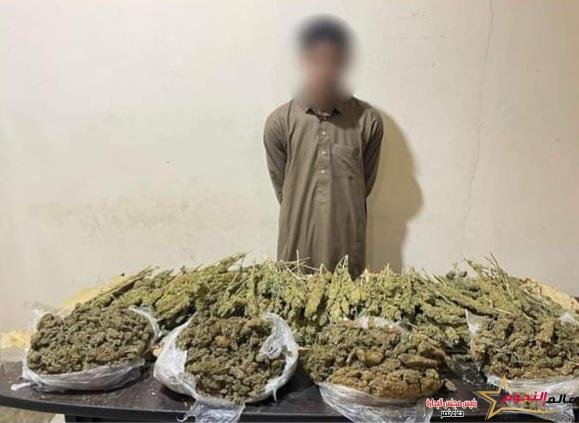 عاجل.. ضبط أحد الأشخاص بحوزته كمية من مخدر الهيدرو والبنجو بغرض الإتجار 2 عاجل.. ضبط أحد الأشخاص بحوزته كمية من مخدر الهيدرو والبنجو بغرض الإتجار