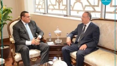 محافظ الإسكندرية يلتقي وزير التنمية لمتابعة توجيهات الرئيس في المشروعات التنموية