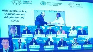 القصير يشارك في جلسة الفاو حول الاستثمار في نظم التحول المستدام لنظم الأغذية الزراعية