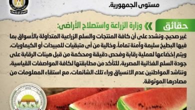 شائعة: انتشار بطيخ مسرطن بمختلف الأسواق على مستوى الجمهورية