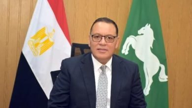 محافظ الشرقية يأمر بسرعة إصلاح كسر سور كوبري المشاه بمدينة ههيا