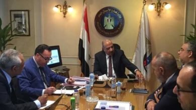 عصمت يستعرض مشروعات التطوير العقاري وتعظيم الاستفادة من أراضي الشركات التابعة في محافظات الدقهلية وكفر الشيخ وأسيوط