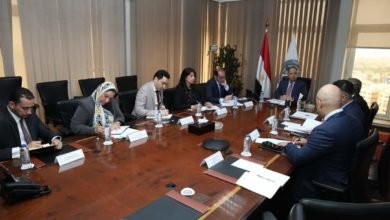 وزير المالية.. محافظ مصر لدى البنك الآسيوي للاستثمار في البنية التحتية فى لقائه بالقاهرة مع نائب رئيس البنك