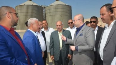 محافظ بني سويف يطمئن على انتظام أعمال استلام وفرز القمح المحلي خلال تفقده لمجمع صوامع سدس