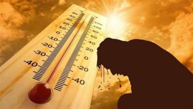 طقس حار يضرب البلاد غدًا.. العظمى بالقاهرة تصل إلى 37 درجة