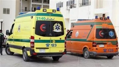 إصابة 8 أشخاص في سقوط لعبة داخل مول شهير شرق الإسكندرية