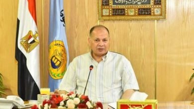 محافظ أسيوط: ضبط 153 طن قمح محلي داخل 18 مخزن بـ 5 مراكز على مستوى المحافظة