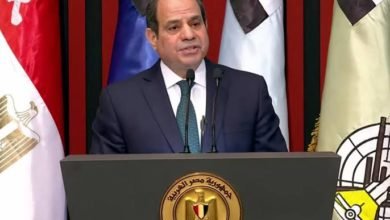 الرئيس السيسي: يقدم التهنئة للشعب المصري بثورة 30 يونيو