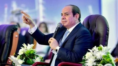 الرئيس السيسي: الشعب أثبت أنه أقوى مما تصور أعداؤه