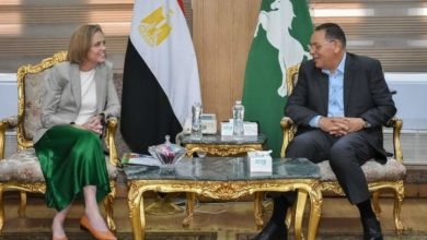 محافظ الشرقية يلتقي سفيرة دولة النرويج لدى القاهرة 