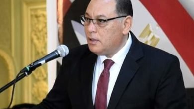 محافظ الشرقية: إنتظام سير العمل بمنظومة توريد القمح لشون وصوامع محافظة الشرقية 