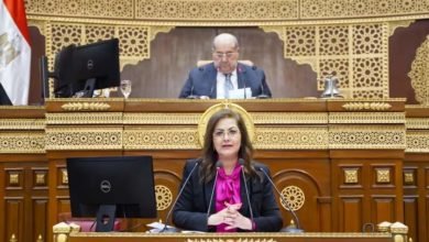 السعيد تناقش تقرير لجنة الشئون المالية والاقتصادية بشأن مشروع قانون خطة التنمية الاقتصادية والاجتماعية 