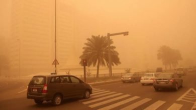 الأرصاد: رياح محملة بالأتربة تصل محافظات شمال الصعيد والقاهرة الكبرى خلال ساعات