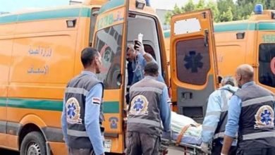 إصابة 14 شخصًا بمشاجرة بين عائلتين لخلاف على مروى أرض زراعية فى الدقهلية