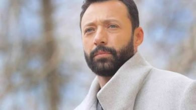 نجوم الفن يقدمون الشكر لمحافظ الاسكندرية اللواء محمد الشريف على مبادرة يوم في عشق الاسكندرية لتنشيط السياحة