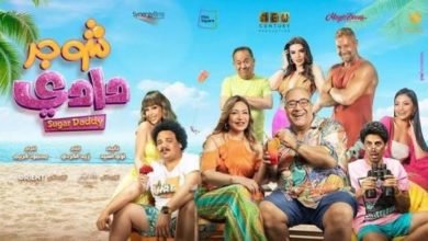 تعرف على إيرادات أفلام السينما فى آخر ليلة فى دور العرض