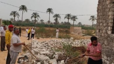 محافظ الإسكندرية: تنفيذ 206 قرار لإزالة التعديات على الأراضي الزراعية