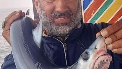 ردا على إنتشار صور لأحد الصيادين ممسكاً ببعض صغار أسماك القرش