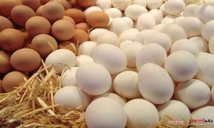 أسعار السلع الأساسية اليوم الخميس 22 يونيو 2023.. الأرز بـ29 جنيهًا والزيت بـ 66