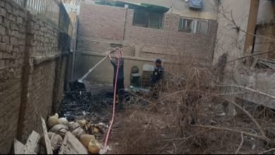 عاجل.. السيطرة على حريق نشب بمخلفات أشجار بحديقة ملحقة لفيلا مهجورة بـ العمرانية