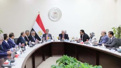 عاشور يبحث آليات التعاون العلمي مع السفير الإيطالي ووفد جامعتي لويجي فانفيتيلي ونابولي فيديريكو