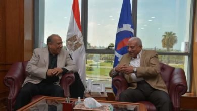 وزير قطاع الأعمال العام يبدأ زيارة لمحافظة السويس لتفقد عدد من الشركات التابعة
